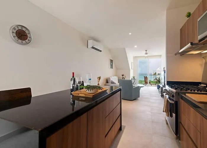 Oceanfront Seahorse Private Rooftop Terrace With Hot Tub Access 11 Pools Akumal