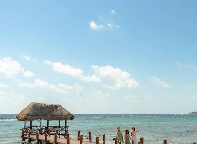 Apartamento Oceanfront Seahorse Private Rooftop Terrace With Hot Tub Access 11 Pools Akumal